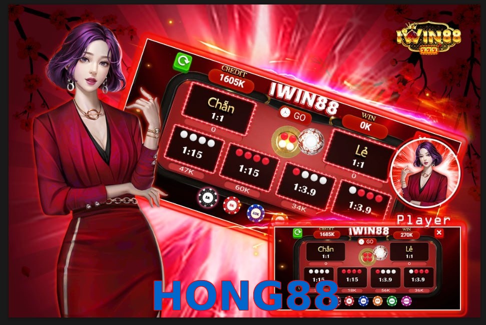 HONG88