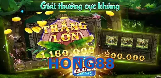 HONG88